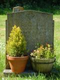 image of grave number 317822